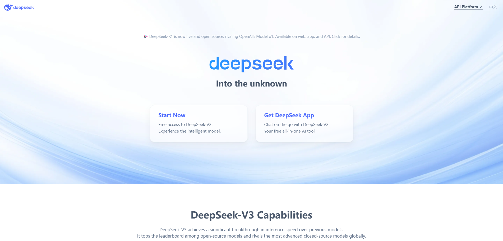 DeepSeek screenshot