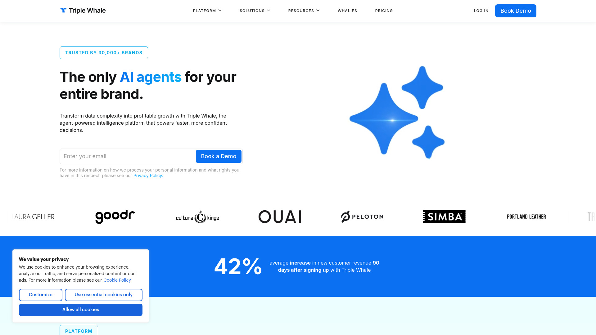 Triple Whale screenshot