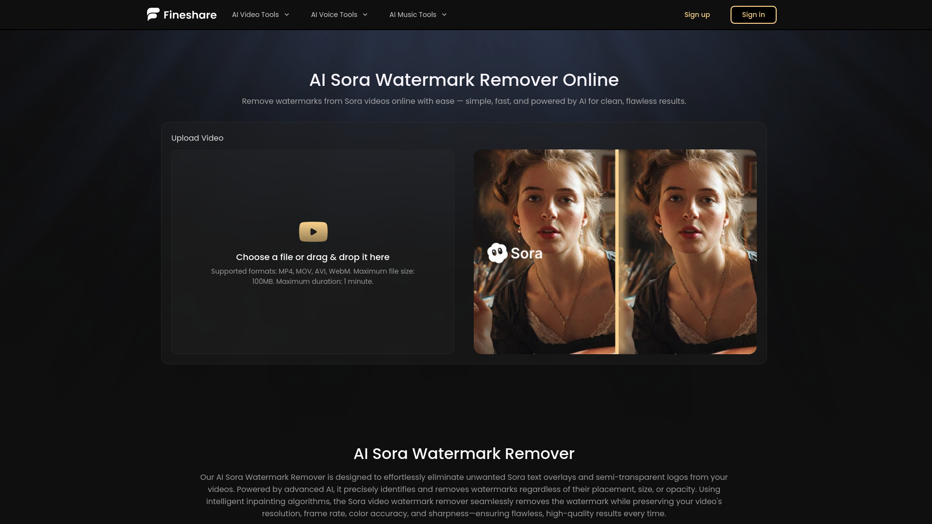 Sora Watermark Remover by Fineshare screenshot
